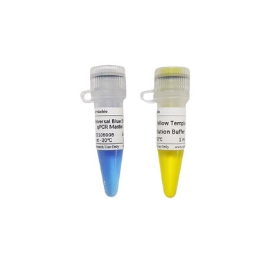 2× mezcla principal azul del verde QPCR del universal GSK con el almacenador intermediario amarillo del dilución de la plantilla 40×