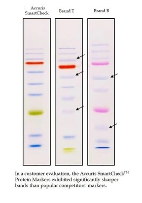 Reactivo bioquímico directo del marcador 10-180kDa de la proteína de Prestained del color de la carga
