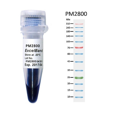 11 color azul 25-300kDa del marcador 2x250ul 3 de la proteína de la alta gama de las bandas 9-180KDA