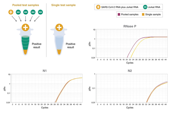 Reactivo bioquímico de TaqMan del múltiplex QPCR de la mezcla universal del amo