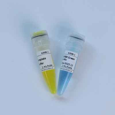 Reactivo bioquímico de TaqMan del múltiplex QPCR de la mezcla universal del amo
