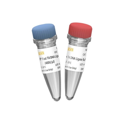 ligasa nueva 400 U/UL de la DNA T4 de la sola enzima para el uso de la investigación SOLAMENTE