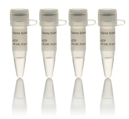 El reactivo bioquímico 100 milímetro DNTP fijó la solución DATP DCTP DTTP DGTP