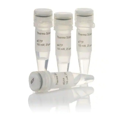 mezcla 25mM cada uno de la pureza DNTP de 25mmol/L el 99% para el uso de la investigación SOLAMENTE
