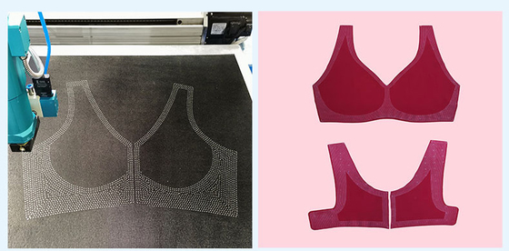 Máquina de dispensación automática de la pista doble para el OEM de la industria de la ropa y de zapato