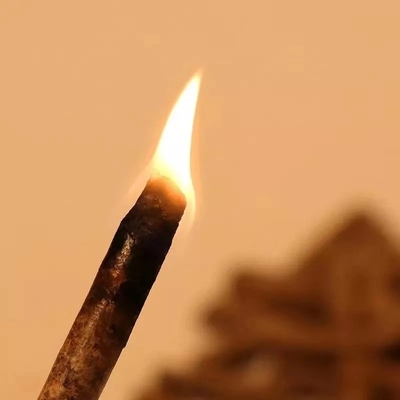 Ahorro de la energía profesional de la pelotilla de madera de combustible de la biomasa del sistema de calefacción