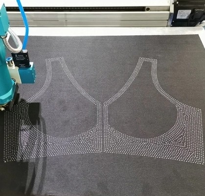 Derretimiento caliente de alta velocidad de Jelly Glue Dispensing Machine Silicone de la ropa interior