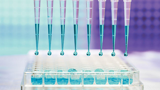 La pipeta estéril libre de la ARNasa de 10UL 100UL inclina el universal micro para el laboratorio